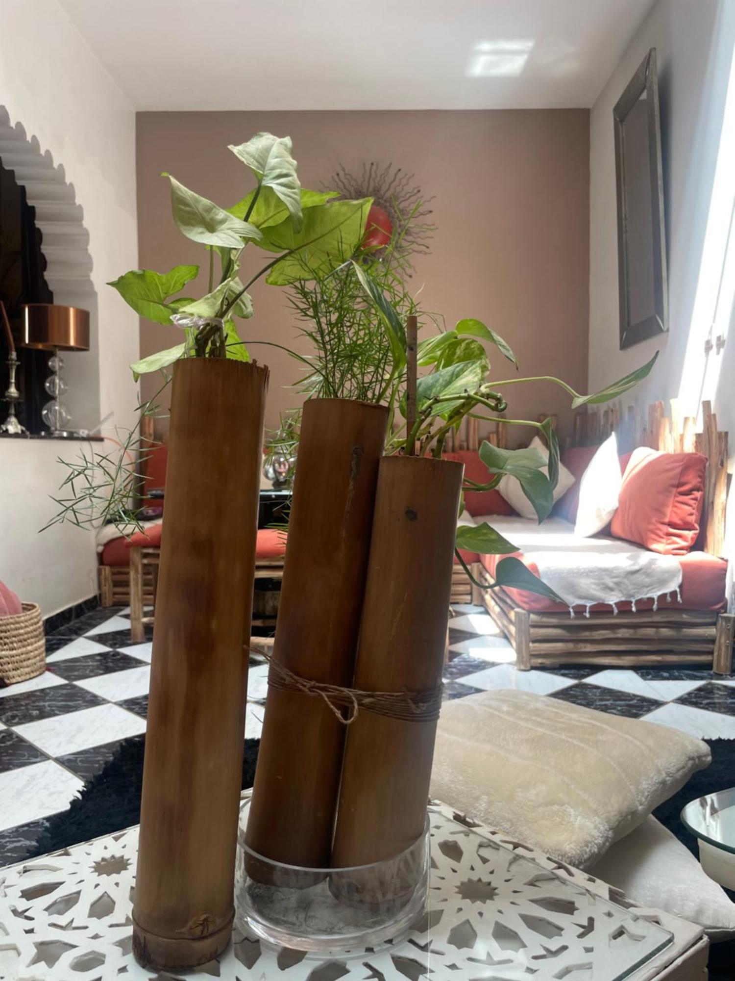 Riad Palmier Fleuri Marrakesh Exterior foto